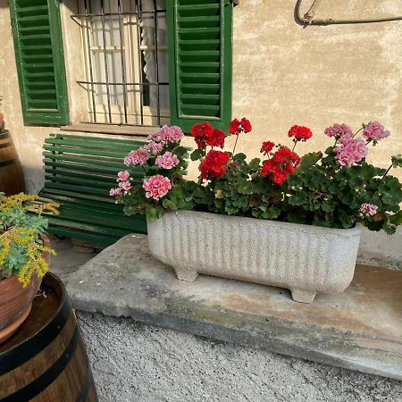 The Montevecchia Home - Frida Apartment Exterior foto